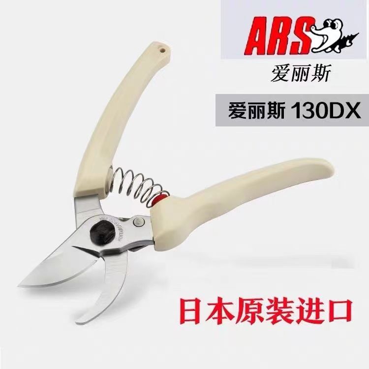 Gardening Tools In Japan - Pruning scissors, garden tools, tree and