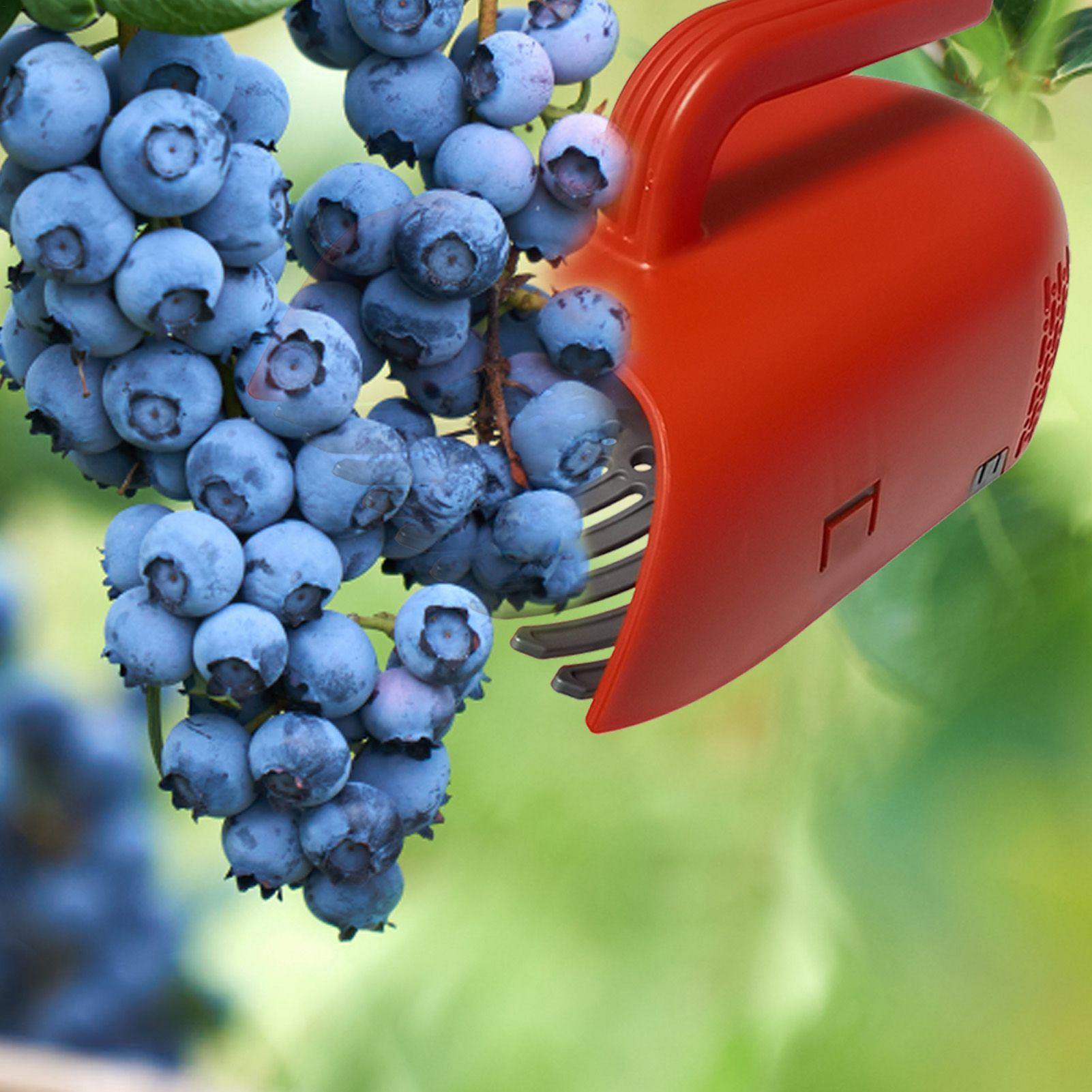 Gardening Tools Rake - Picking Berry Harvester Scoop Ergonomic Handle