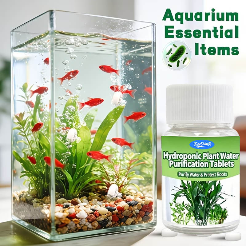 Hydroponic Water Purification  - Aquaponics Fish Tank ulasan dan harga