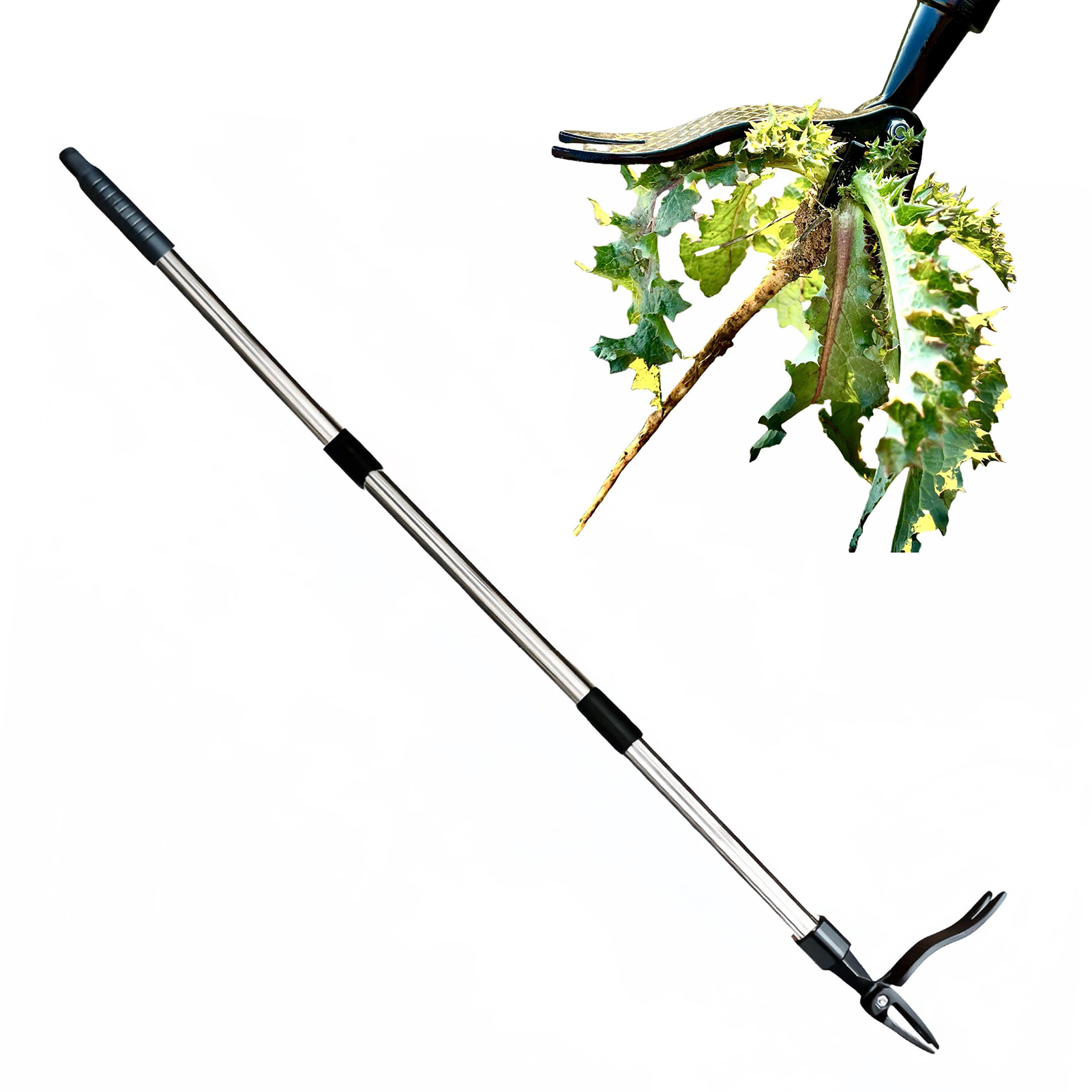4 Claw Stand Up Weed Puller St - Gardening Tools To Remove Weeds ulasan dan harga