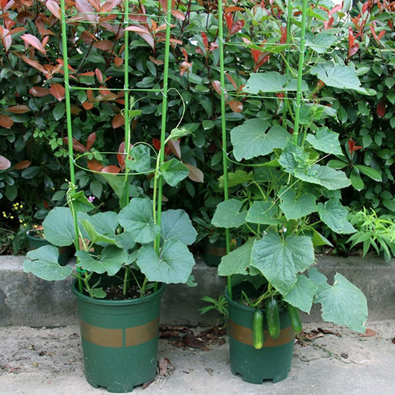 45cm Plant Support Plant Stake - Gardening Tools Range ulasan dan harga
