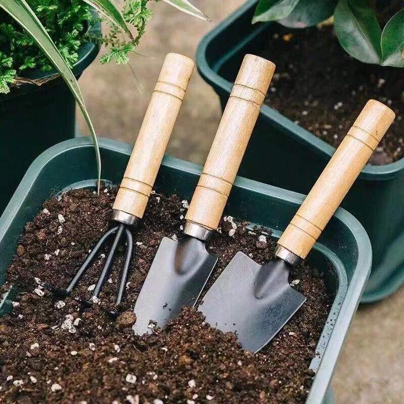 3Pcs Mini Gardening Tool Set w - Gardening Tools Rake ulasan dan harga