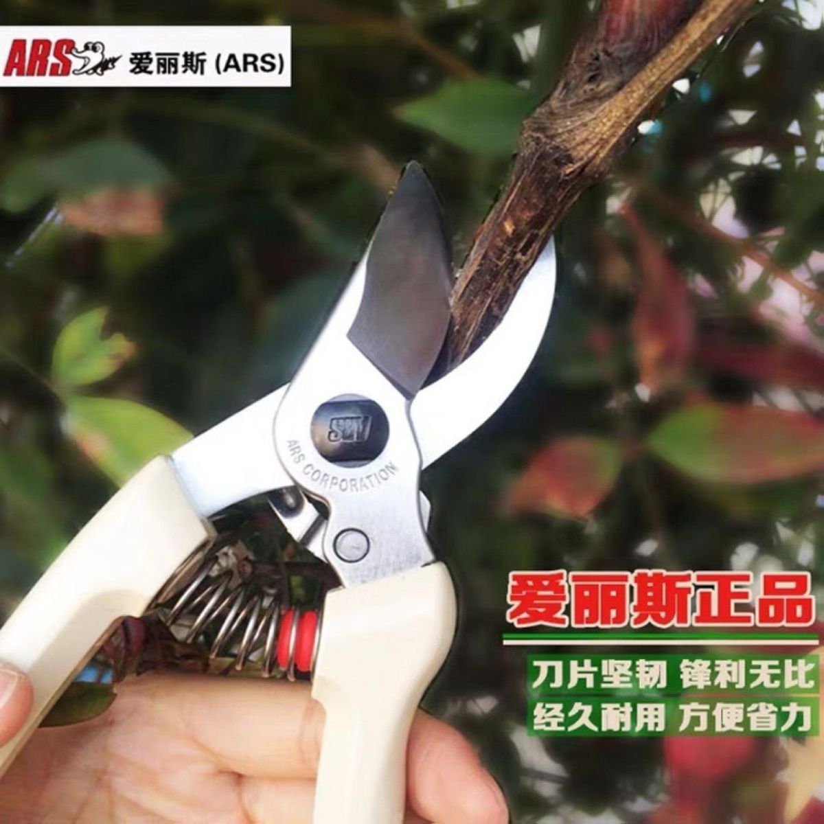 Pruning scissors, garden tools - Gardening Tools In Japan ulasan dan harga