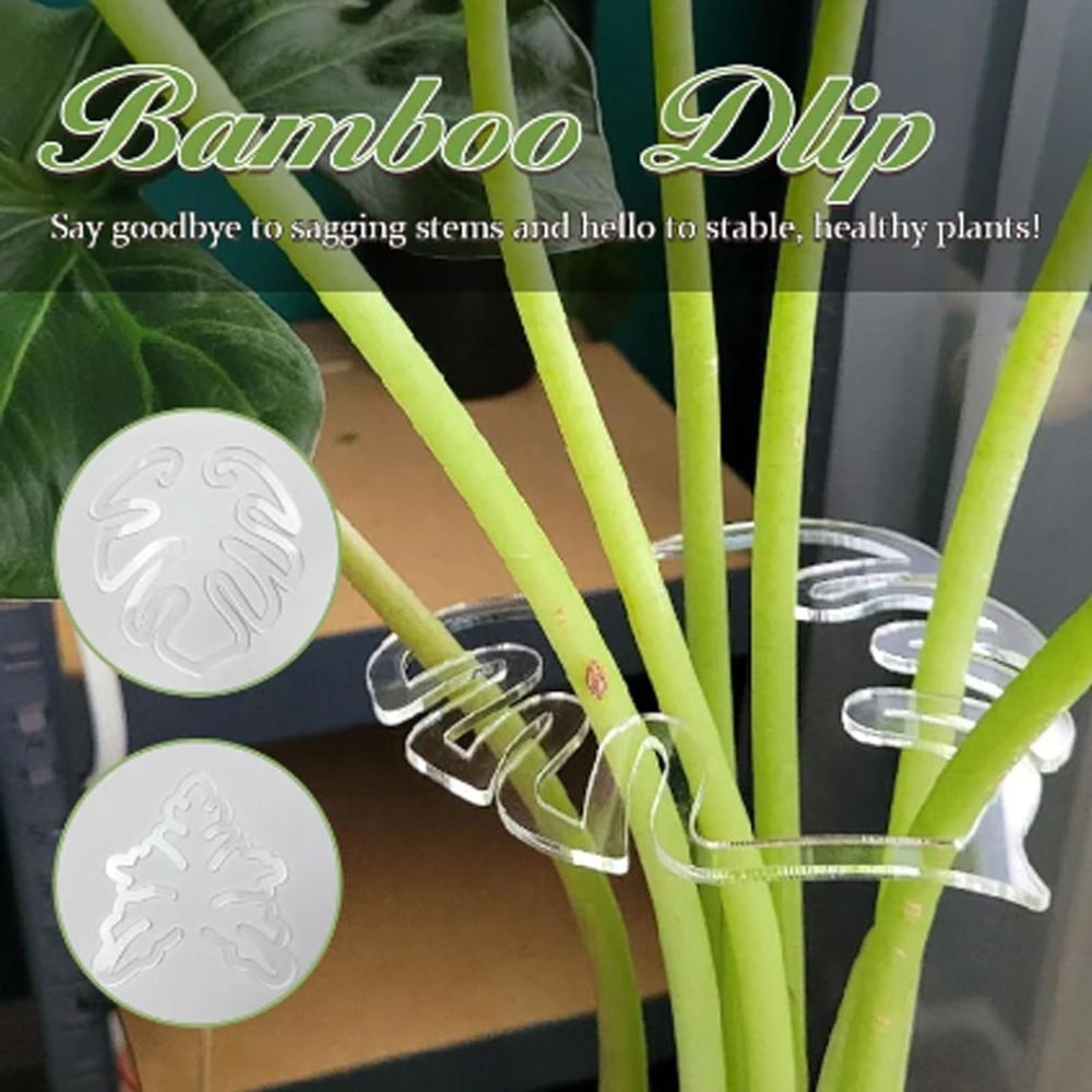 1/2PCS Reusable Turtle Shell B - Gardening Tools Range ulasan dan harga