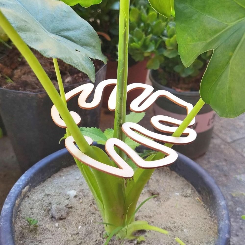 1/2PCS Reusable Turtle Shell B - Gardening Tools Range ulasan dan harga