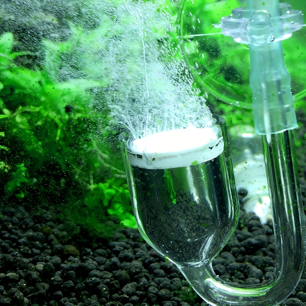 Aquarium Glass CO2 Atomizer Di - Aquaponics Fish Tank ulasan dan harga