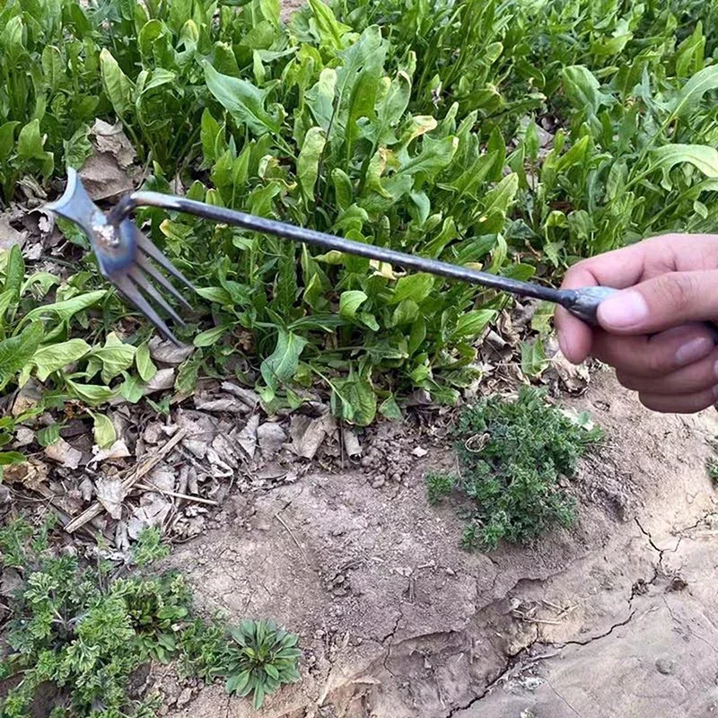 Garden Weeders Grass Hand Weed - Gardening Tools To Remove Weeds ulasan dan harga