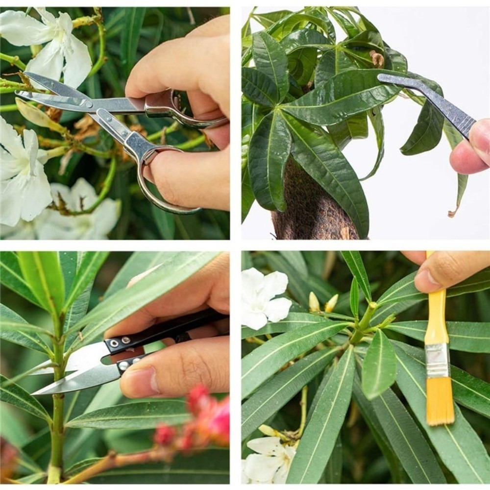 Multi-functional Mini Garden P - Spade Digging Fork ulasan dan harga