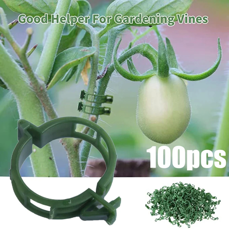 100 PCS/ Plant Support Clip Pl - Gardening Tools Range ulasan dan harga