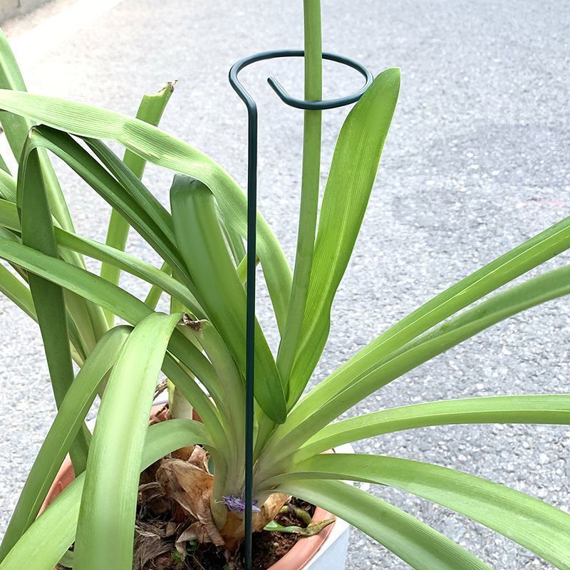 1-10pcs Metal Single Stem Plan - Gardening Tools Range ulasan dan harga