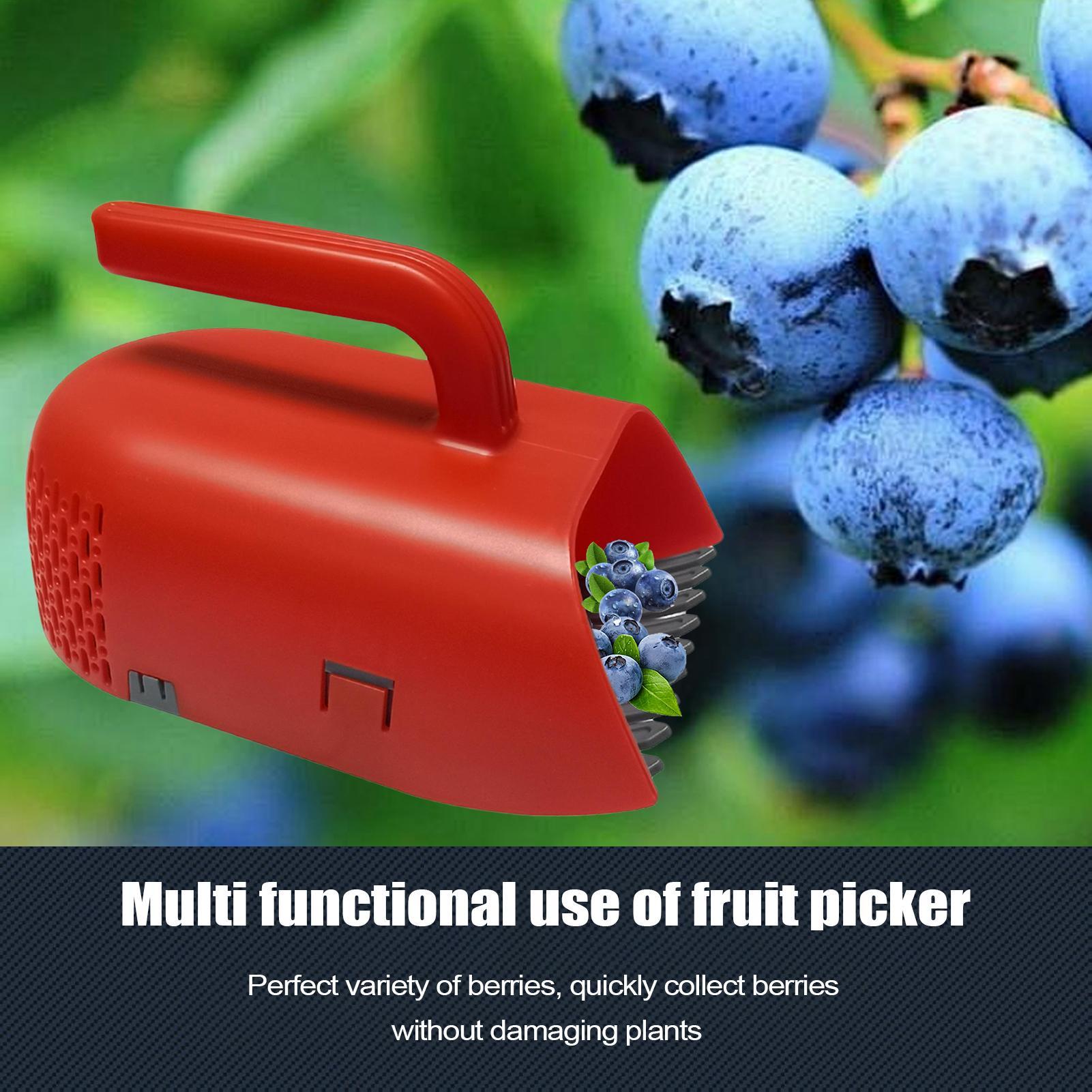 Picking Berry Harvester Scoop  - Gardening Tools Rake ulasan dan harga