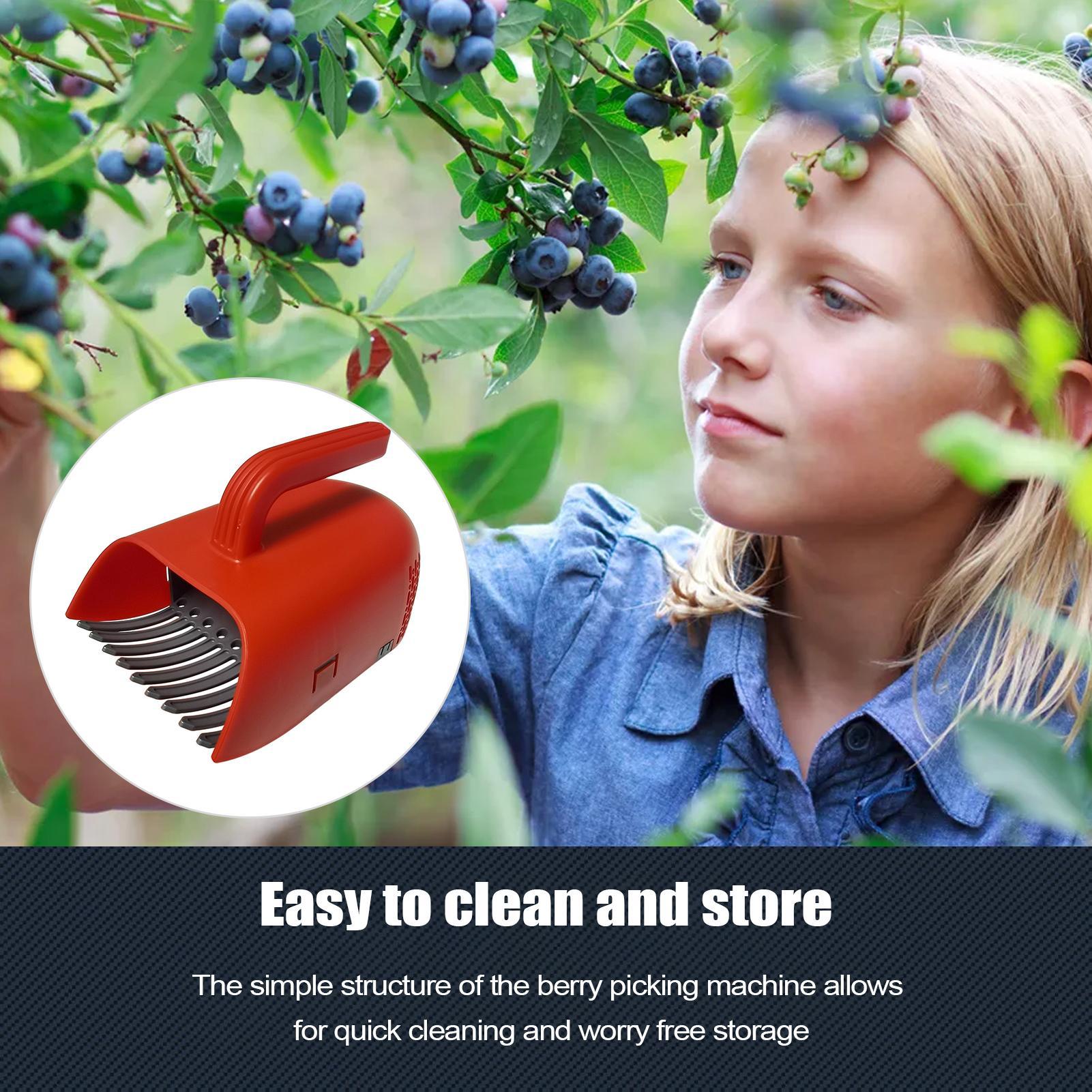 Picking Berry Harvester Scoop  - Gardening Tools Rake ulasan dan harga