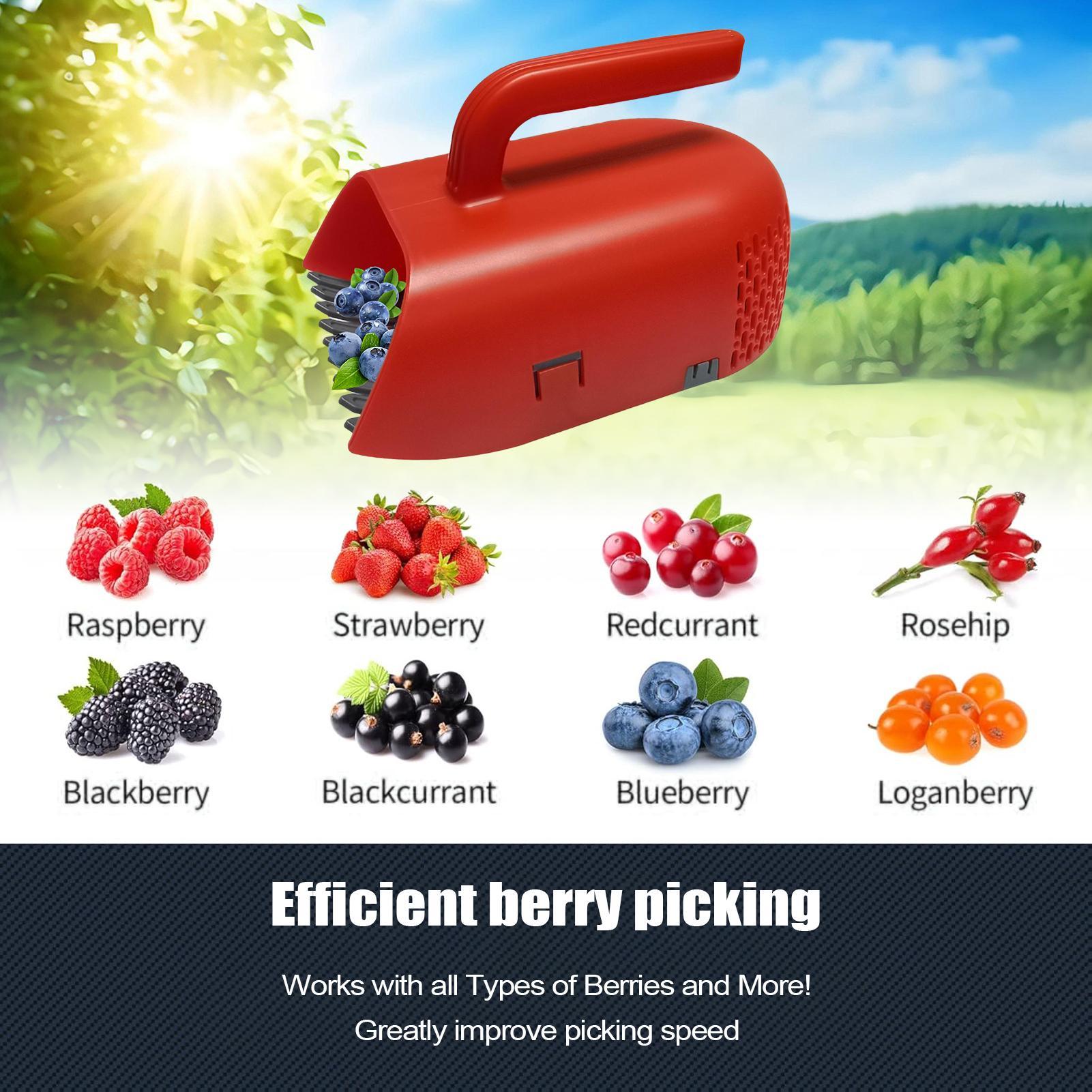 Picking Berry Harvester Scoop  - Gardening Tools Rake ulasan dan harga