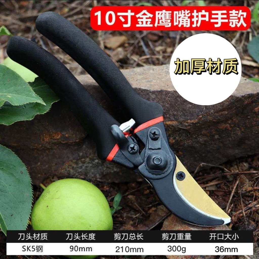 Japan Thickened SK5 Steel Bran - Gardening Tools In Japan ulasan dan harga