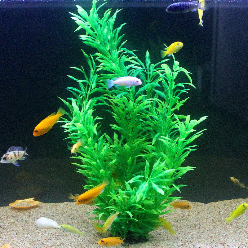 50CM Artificial Fish Tank Rare - Aquaponics Fish Tank ulasan dan harga