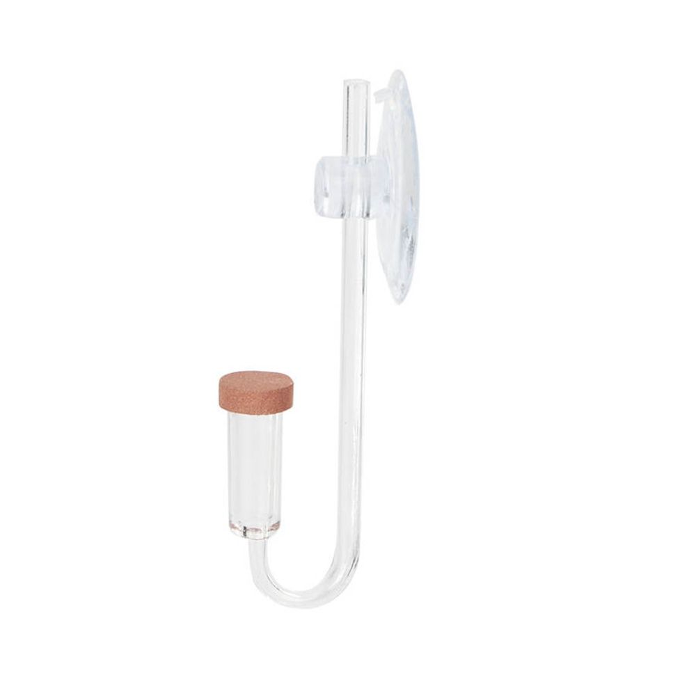 Acrylic Mini Fish Tank Live Pl - Aquaponics Fish Tank ulasan dan harga