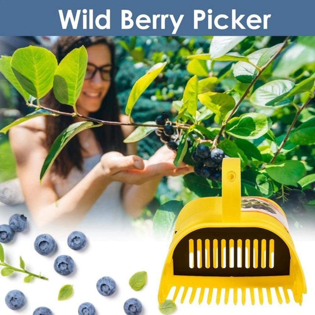 Portable Blueberry Harvester T - Gardening Tools Rake ulasan dan harga