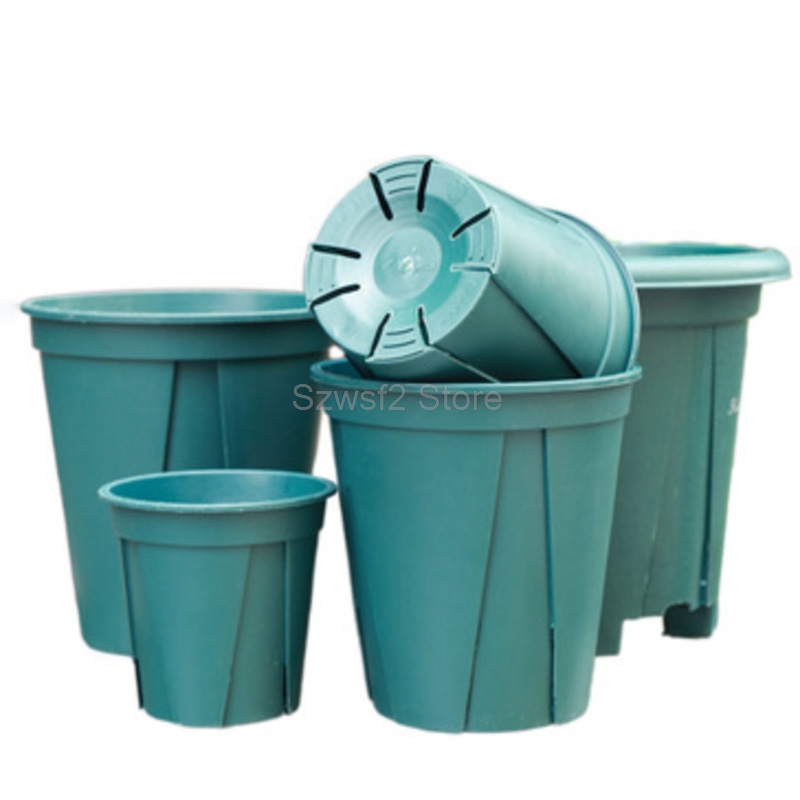 5/10pcs Green Plastic Plant Fl - Gardening Tools Cute ulasan dan harga